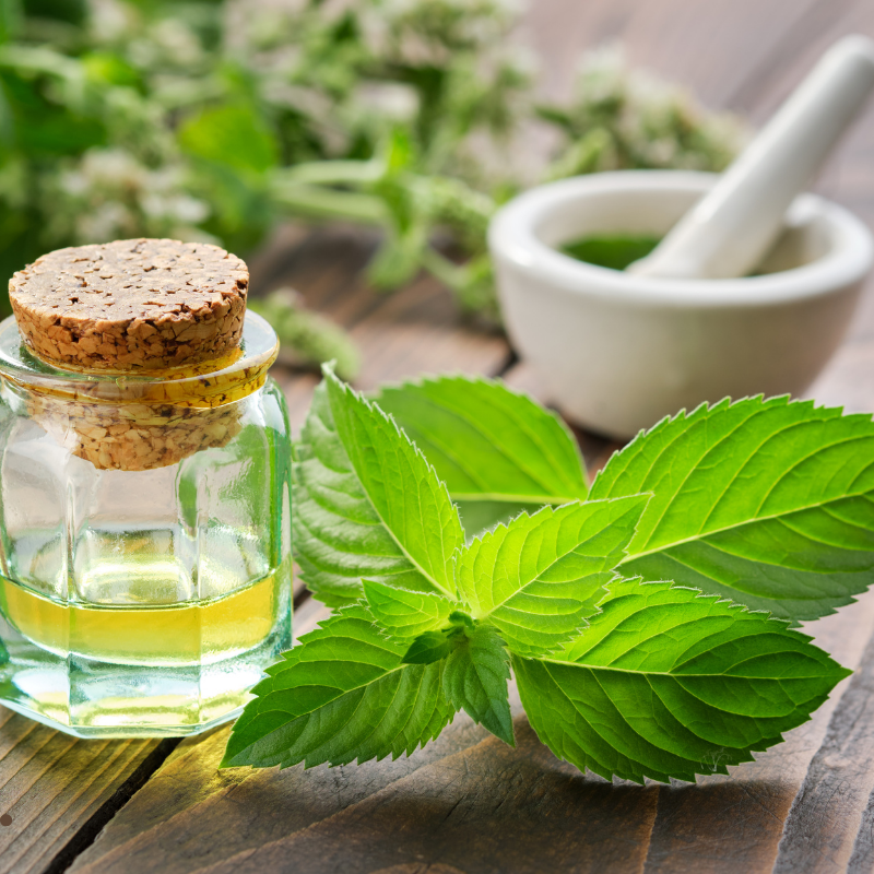Spearmint Oil